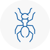 Ant Removals In Carmarthen