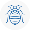 Bed Bug Extermination In Carmarthen