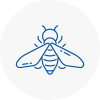 Bee Nest Removal Carmarthen