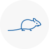 Mice Exterminators In Carmarthen