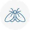 Moth Control Specialists In Carmarthen